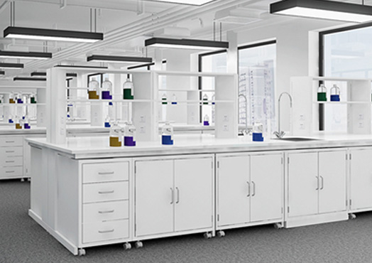 實(shí)驗(yàn)臺通風(fēng)柜不銹鋼實(shí)驗(yàn)臺性能不銹鋼通風(fēng)柜 實(shí)驗(yàn)臺通風(fēng)柜不銹鋼實(shí)驗(yàn)臺性能不銹鋼通風(fēng)柜